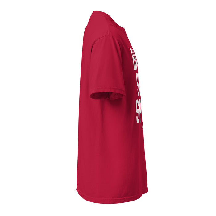 Volleyball State | Bald Set Spike | Unisex Garment-Dyed Heavyweight t-shirt